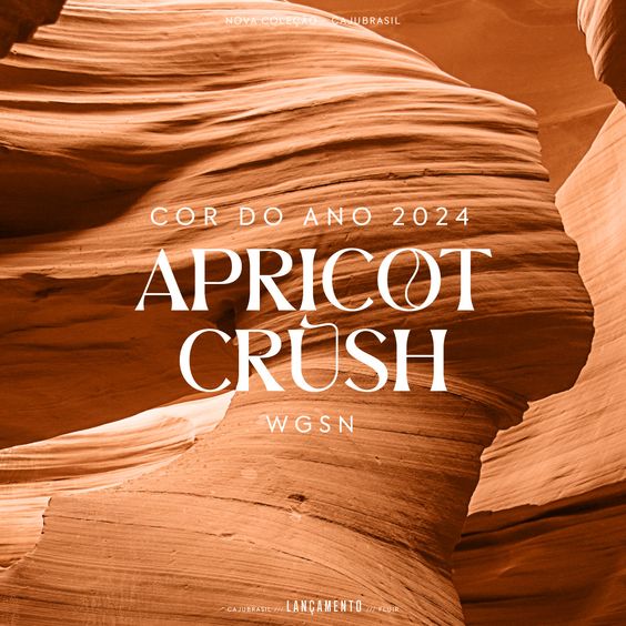 A cor de 2024 é Apricot Color